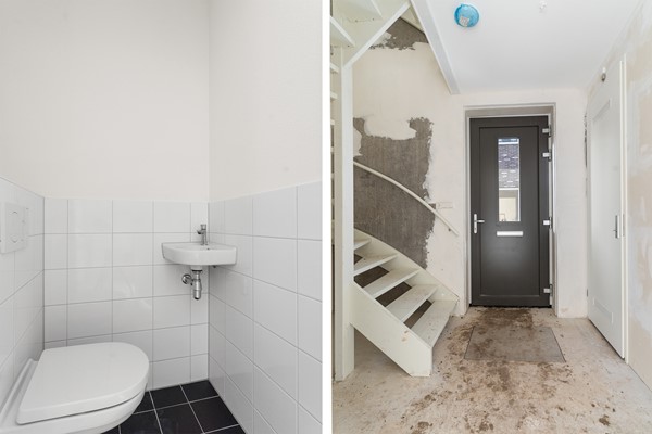 17-Moerasorchidee 29 - Lelystad.jpg